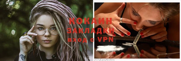сатива Кулебаки
