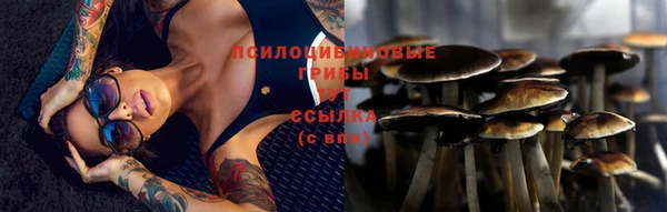 ECSTASY Красноперекопск