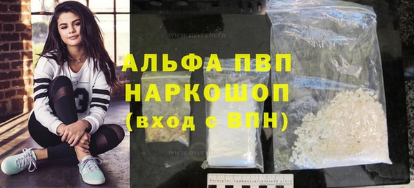 сатива Кулебаки