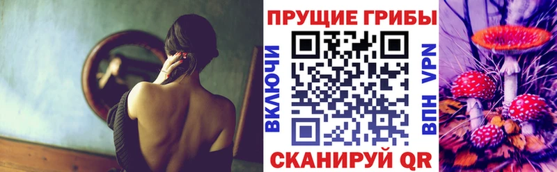 Галлюциногенные грибы мицелий  Муравленко 