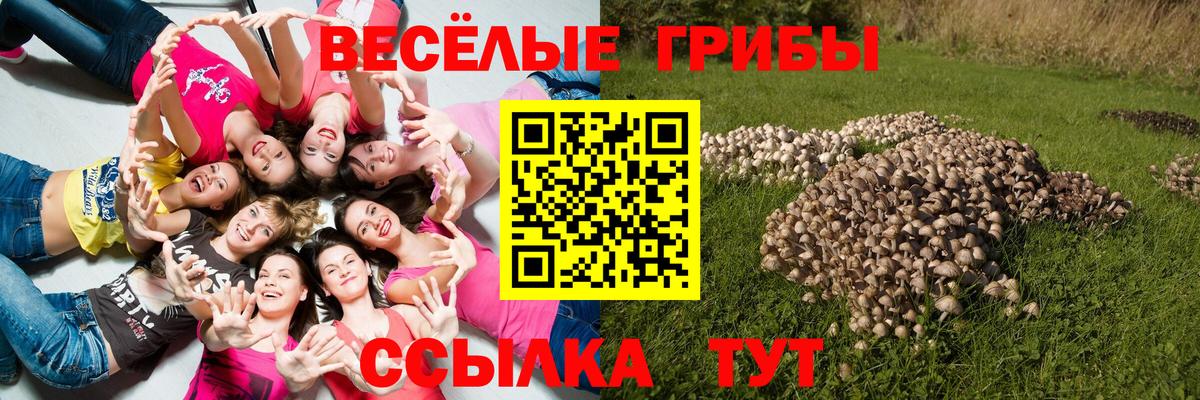 Псилоцибиновые грибы мицелий Муравленко