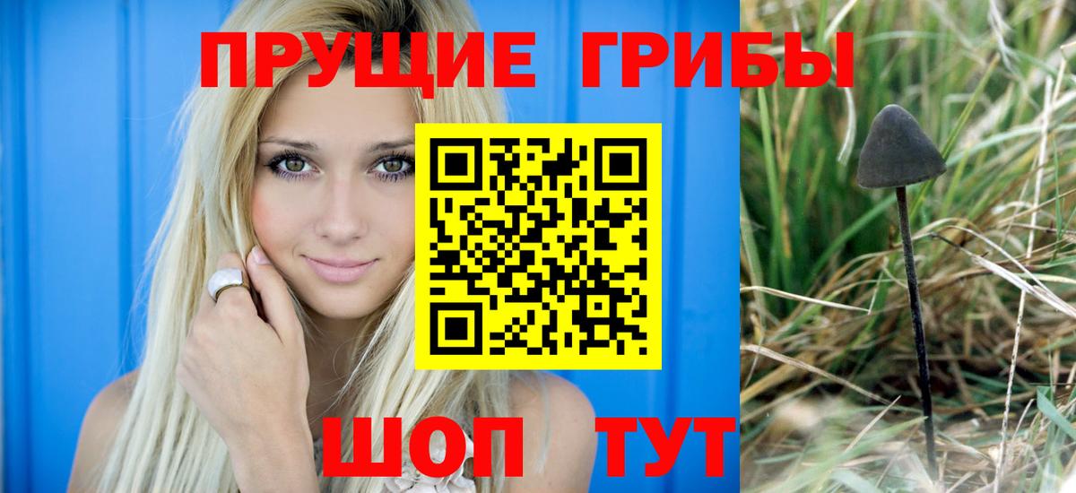 Псилоцибиновые грибы мицелий Муравленко