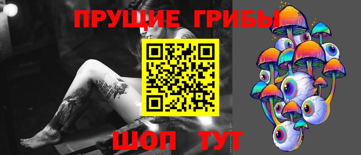 Муравленко  Псилоцибиновые грибы Cubensis  Псилоцибиновые грибы Psilocybine cubensis  где продают   Вход с VPN 