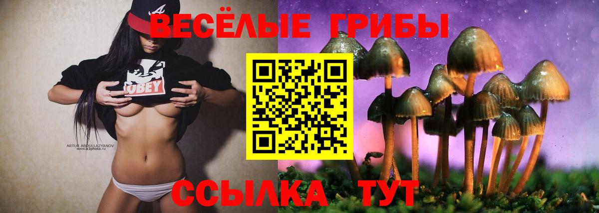 Галлюциногенные грибы Magic Shrooms  Муравленко  Галлюциногенные грибы мицелий 